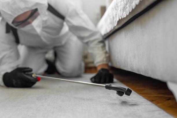 Professional Bed Bug Control technician working in De Motte, IN