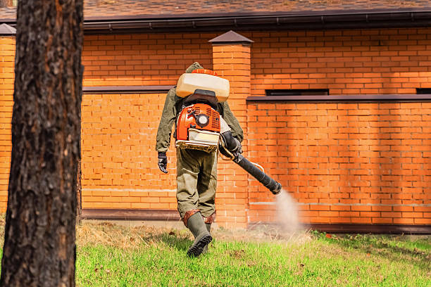 Trusted Mosquito Control service in De Motte, IN - Nex Pest Control